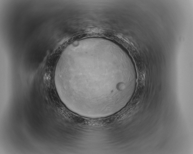 X0000116021254200911271109