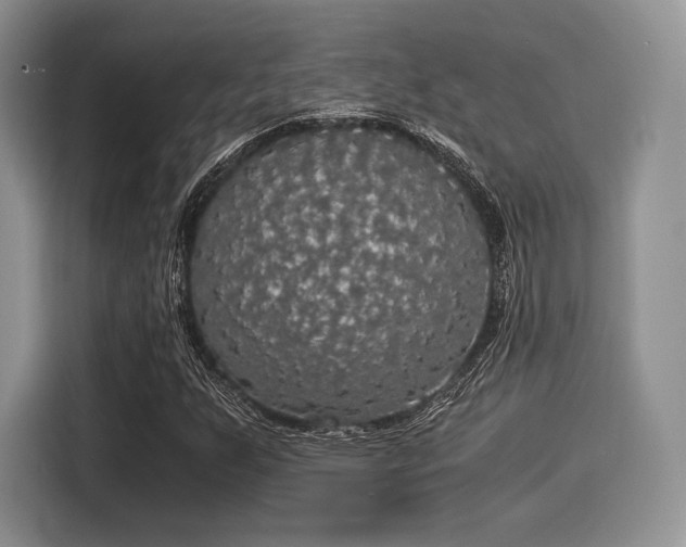 X0000116021255200911271109