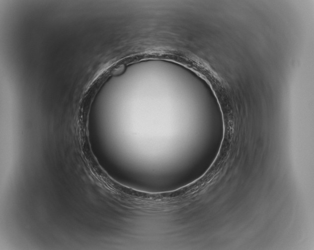 X0000116021256200911271109