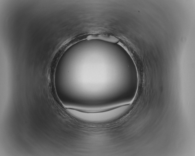 X0000116021261200911271109