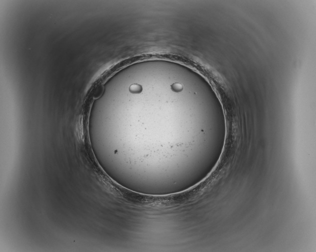 X0000116021262200911271109