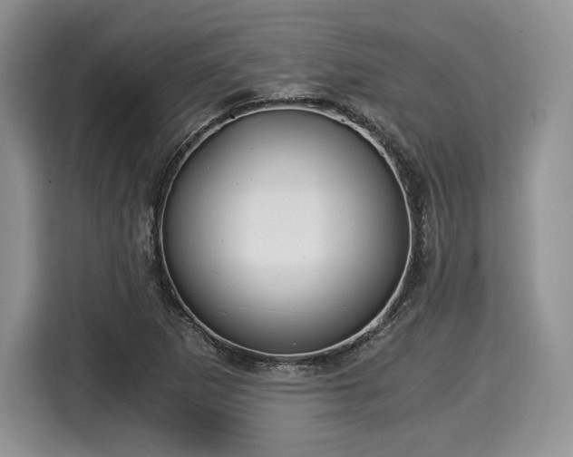 X0000116021265200911271109