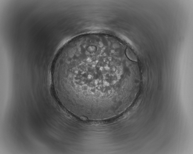 X0000116021267200911271109