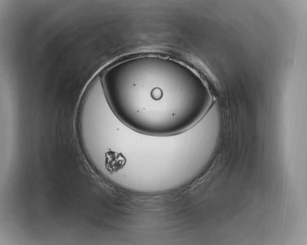 X0000116021268200911271109