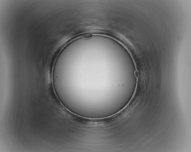 X0000116021269200911271109