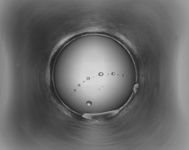 X0000116021270200911271109