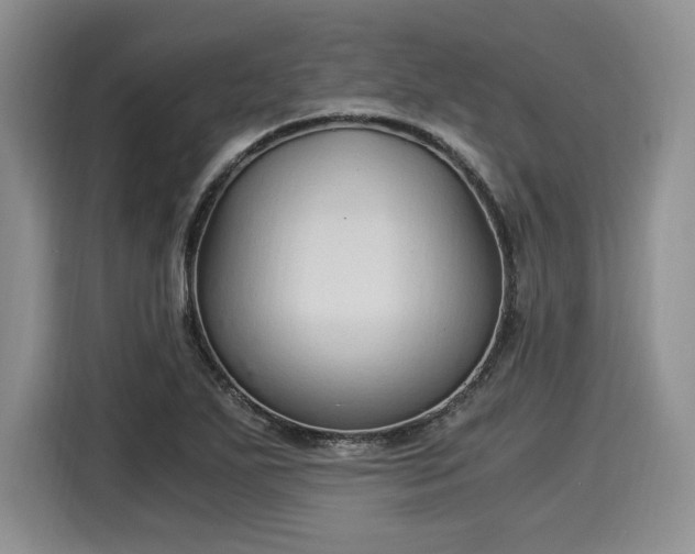 X0000116021271200911271109