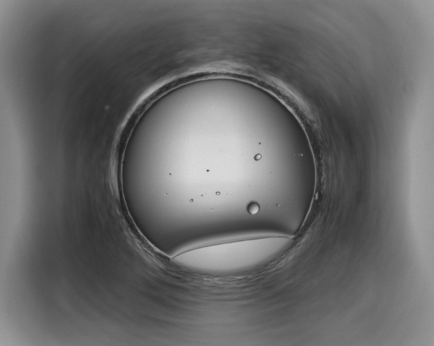 X0000116021272200911271109