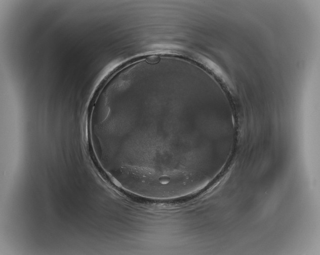 X0000116021275200911271109