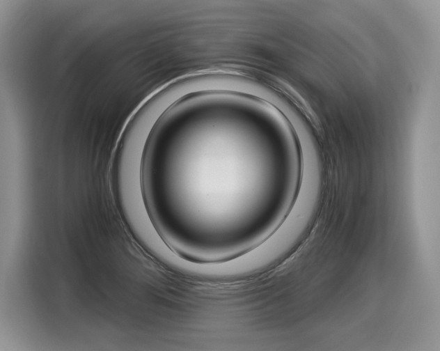 X0000116021276200911271109