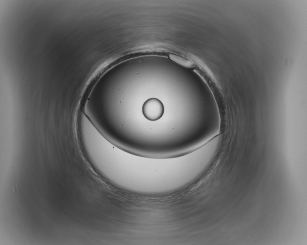 X0000116021277200911271109