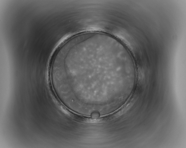 X0000116021278200911271109