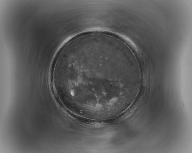 X0000116021279200911271108