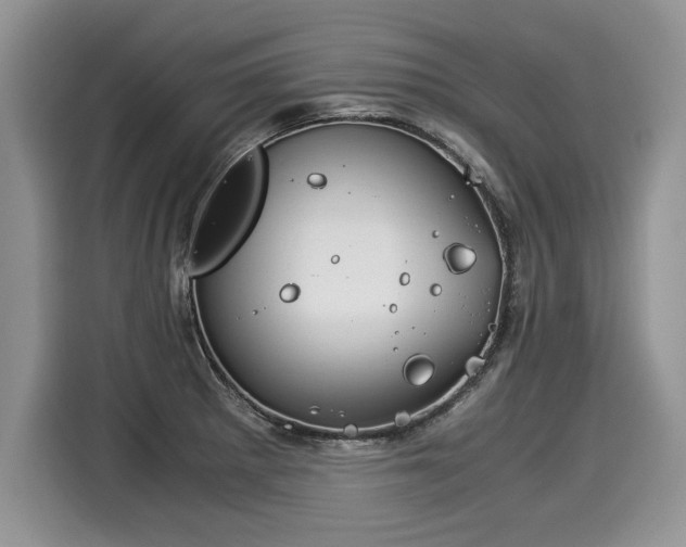 X0000116021281200911271108