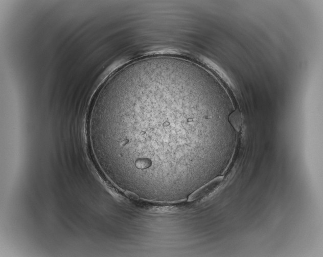 X0000116021282200911271108