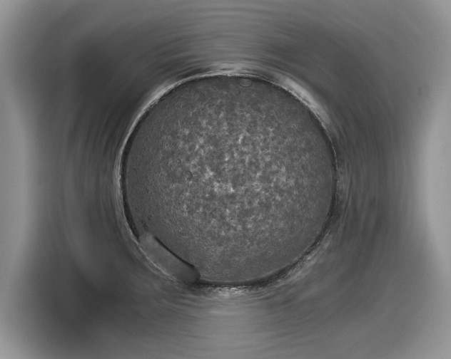 X0000116021283200911271108