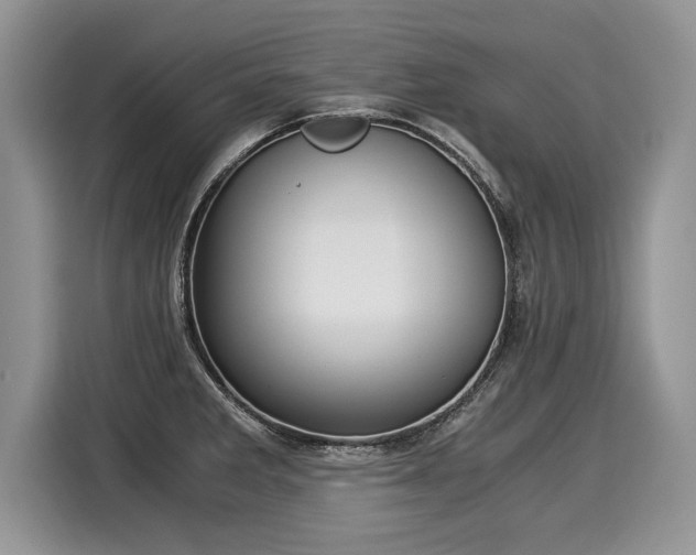 X0000116021285200911271108