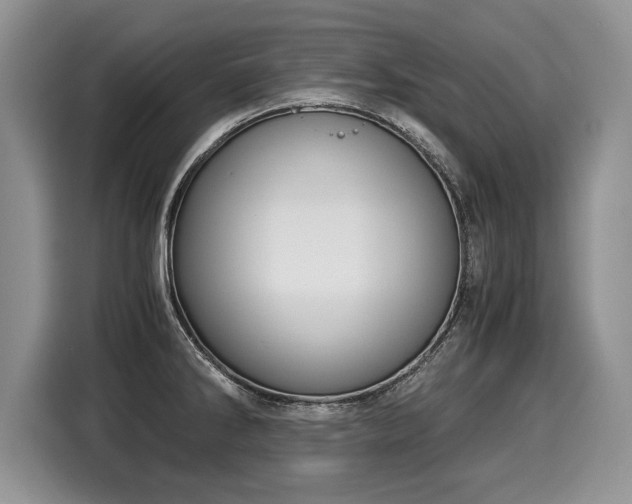 X0000116021286200911271108