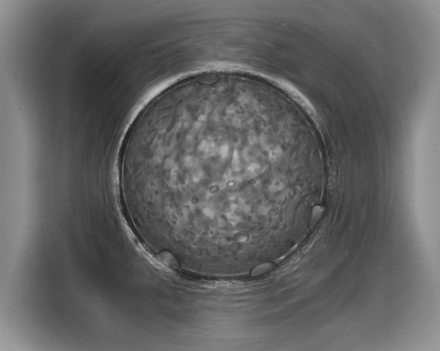 X0000116021287200911271108