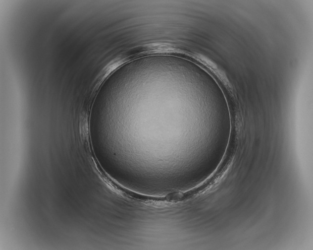 X0000116021289200911271108