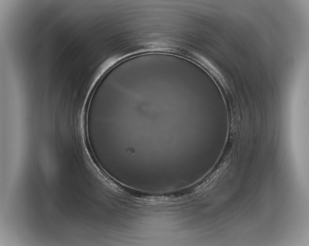 X0000116021291200911271108