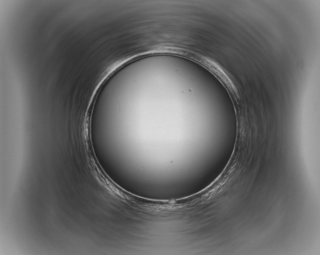 X0000116021292200911271108