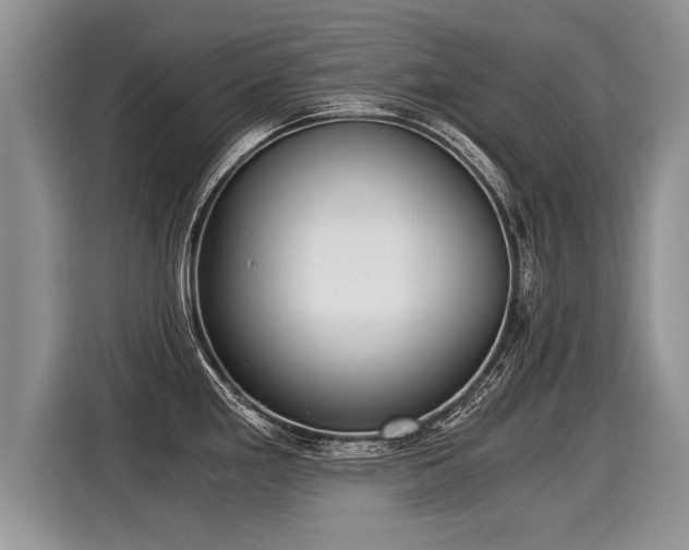 X0000116021293200911271108