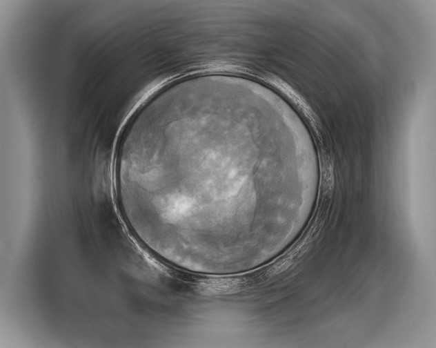 X0000116021294200911271108