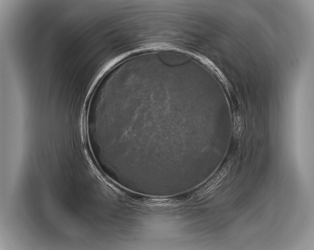 X0000116021295200911271108