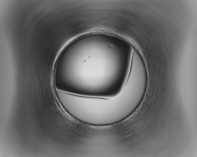 X0000116021296200911271108