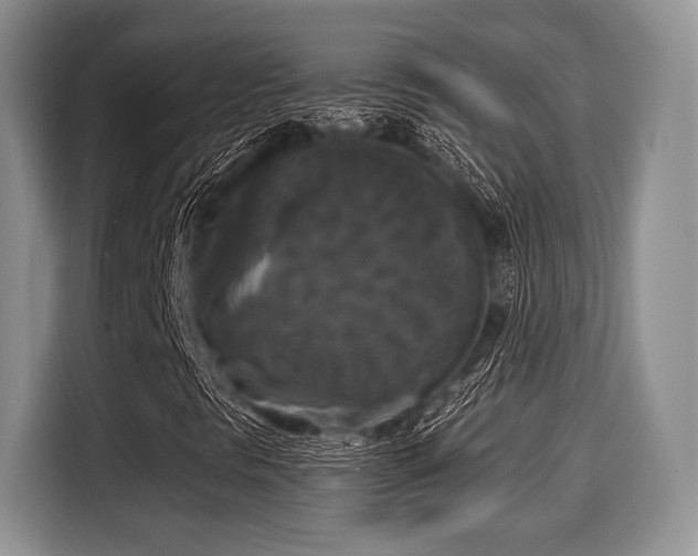 X0000116021297200911271108