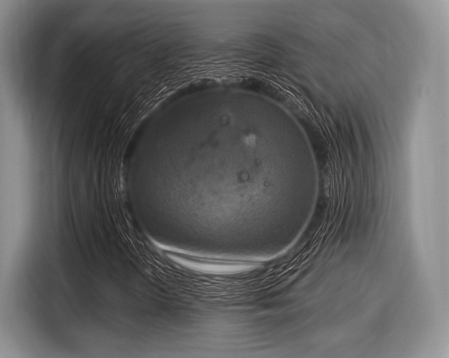 X0000116021298200911271108