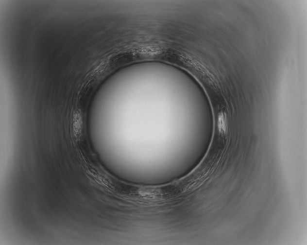 X0000116021299200911271108