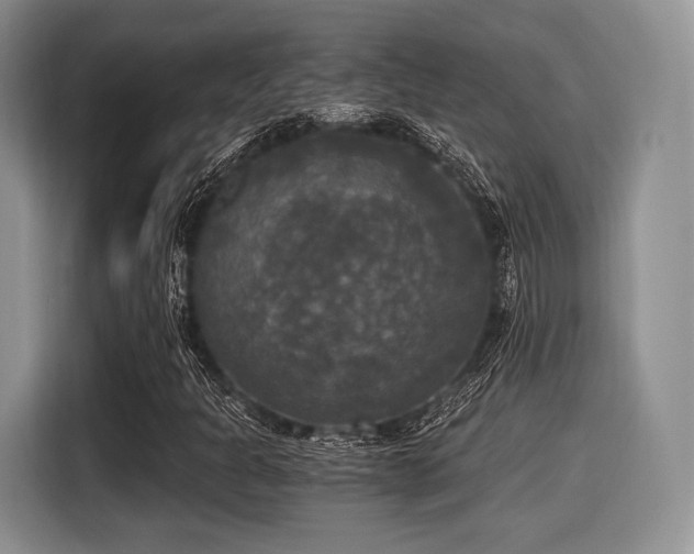 X0000116021301200911271108