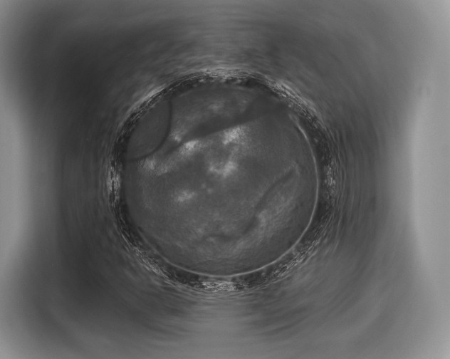 X0000116021302200911271108