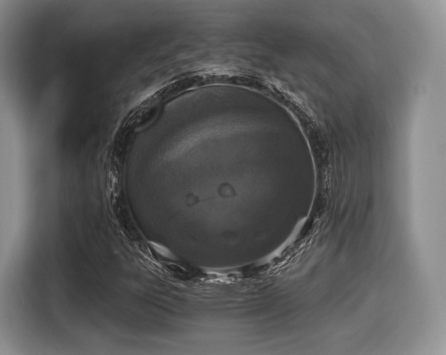 X0000116021303200911271108