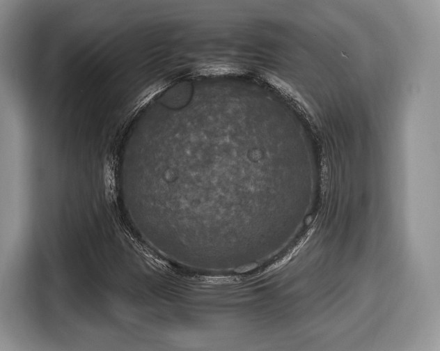 X0000116021305200911271108