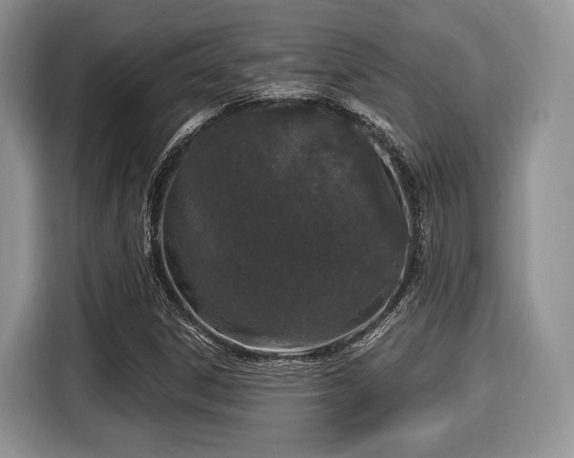 X0000116021306200911271108