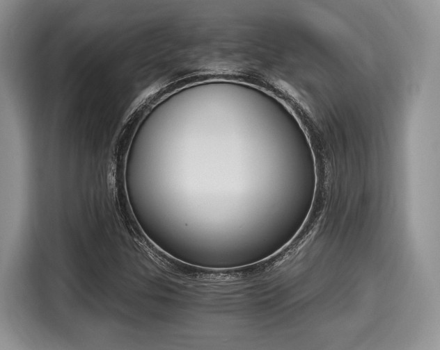 X0000116021307200911271108