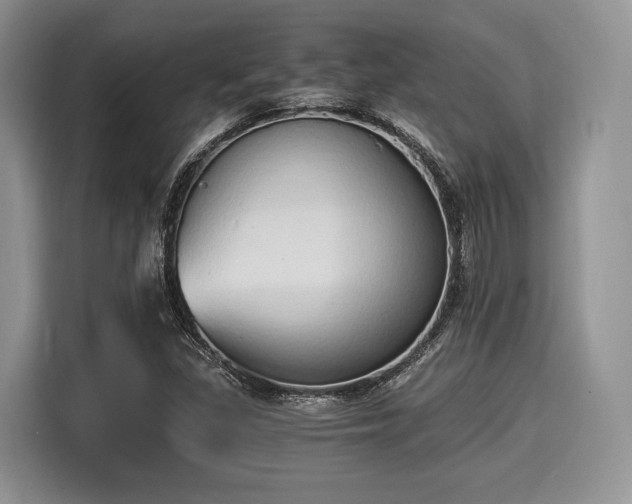 X0000116021309200911271108