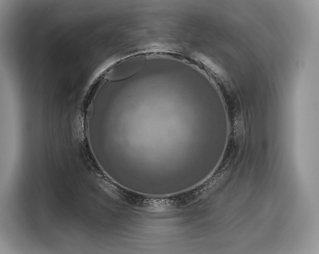 X0000116021310200911271108