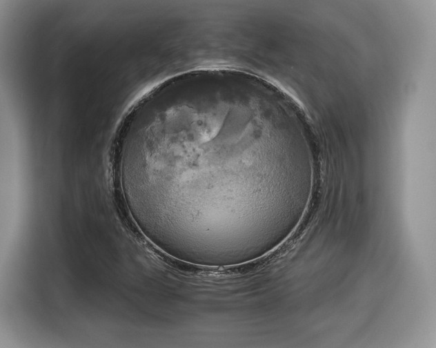 X0000116021311200911271108