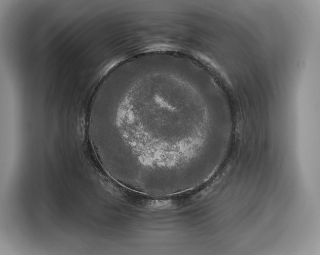 X0000116021313200911271108