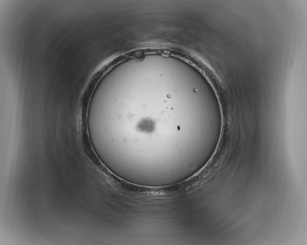 X0000116021315200911271108