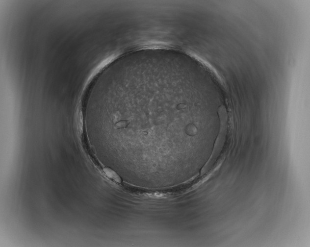 X0000116021317200911271108