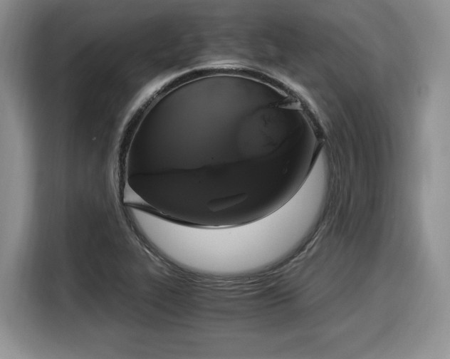 X0000116021319200911271108