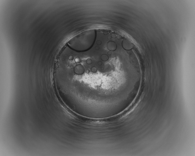 X0000116021321200911271108