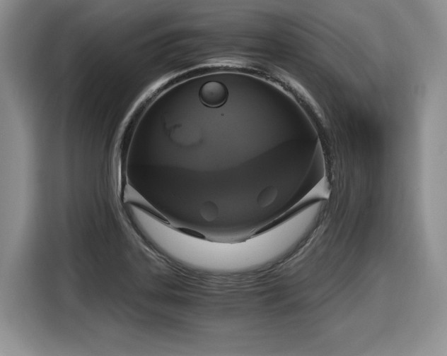 X0000116021323200911271108