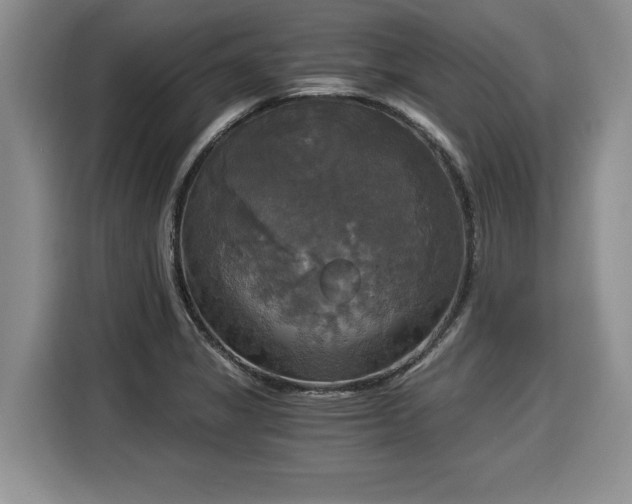 X0000116021325200911271108