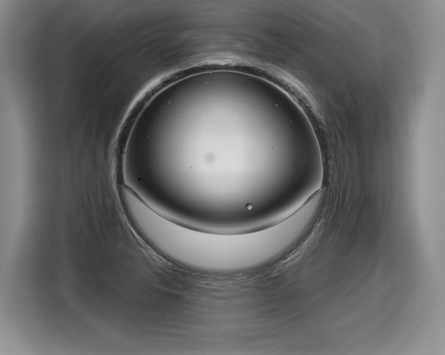 X0000116021326200911271108